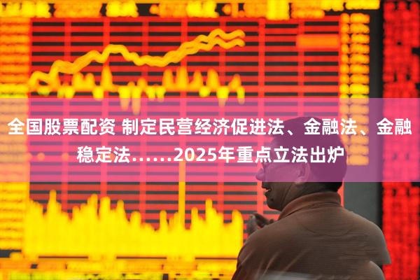 全国股票配资 制定民营经济促进法、金融法、金融稳定法……2025年重点立法出炉