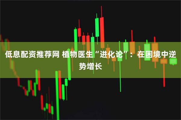 低息配资推荐网 植物医生“进化论”：在困境中逆势增长