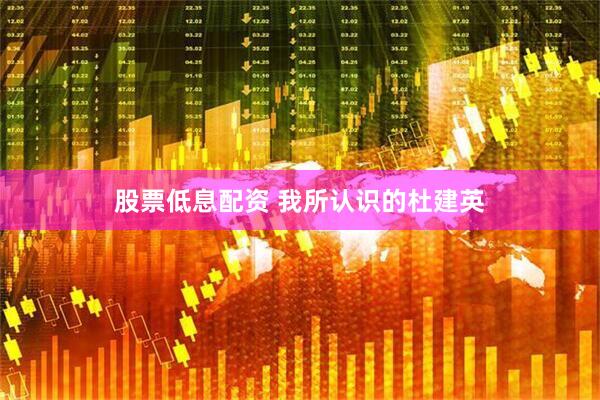 股票低息配资 我所认识的杜建英